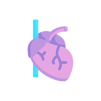 Кардиология